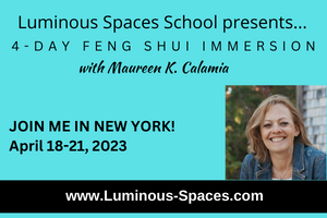 feng shui immersion training