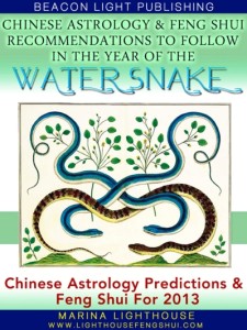 2013 Chinese Astrology Feng Shui 2013