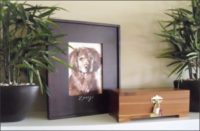 Feng shui and pet burial