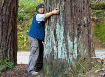 Tree Hugging