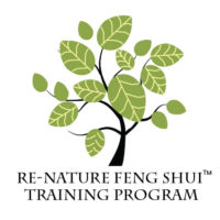 feng shui training