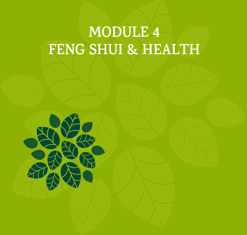 Feng Shui Health module 4 - feng shui & health - luminous-spaces Feng Shui Health module 4 - feng shui & health - luminous-spaces