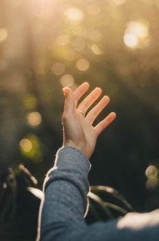 dev-222588-unsplash-resized dev-222588-unsplash-resized