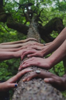 shane-rounce-682783-unsplash-resized shane-rounce-682783-unsplash-resized