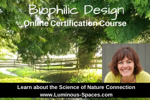 Biophilic Design course