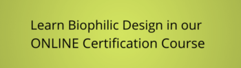Biophilic Design Online Course