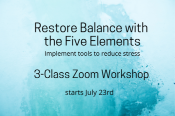 Five Element workshop