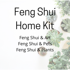 feng shui home kit