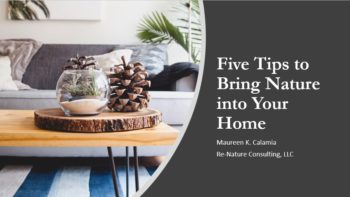 5 Tips for Nature in your home