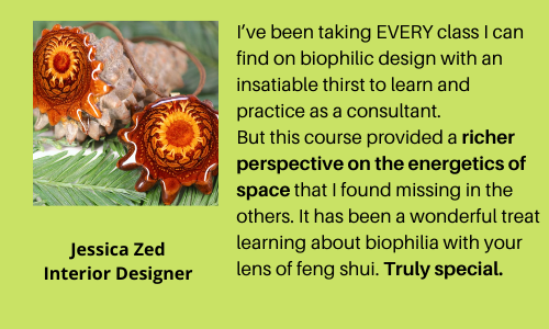 Jessica Zed - Biophilic Design