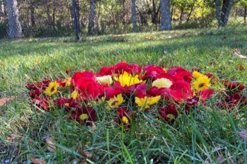 dowsing earth ceremonies