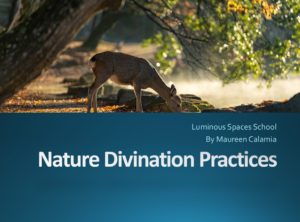 Nature Divination cover