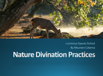 Nature Divination cover