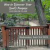 Workshop: How to Discover My Soul's Calling - Image 2
